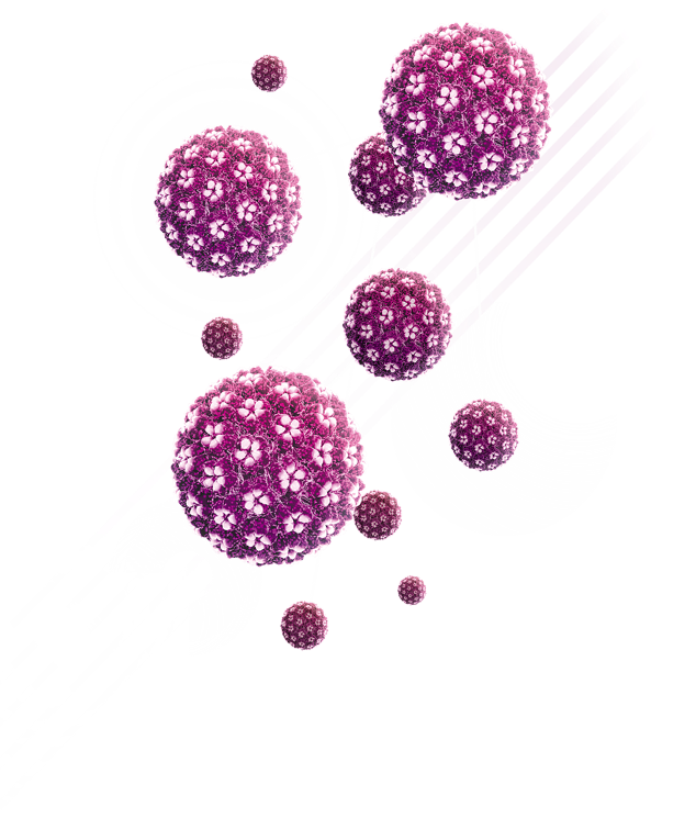 HPVirus