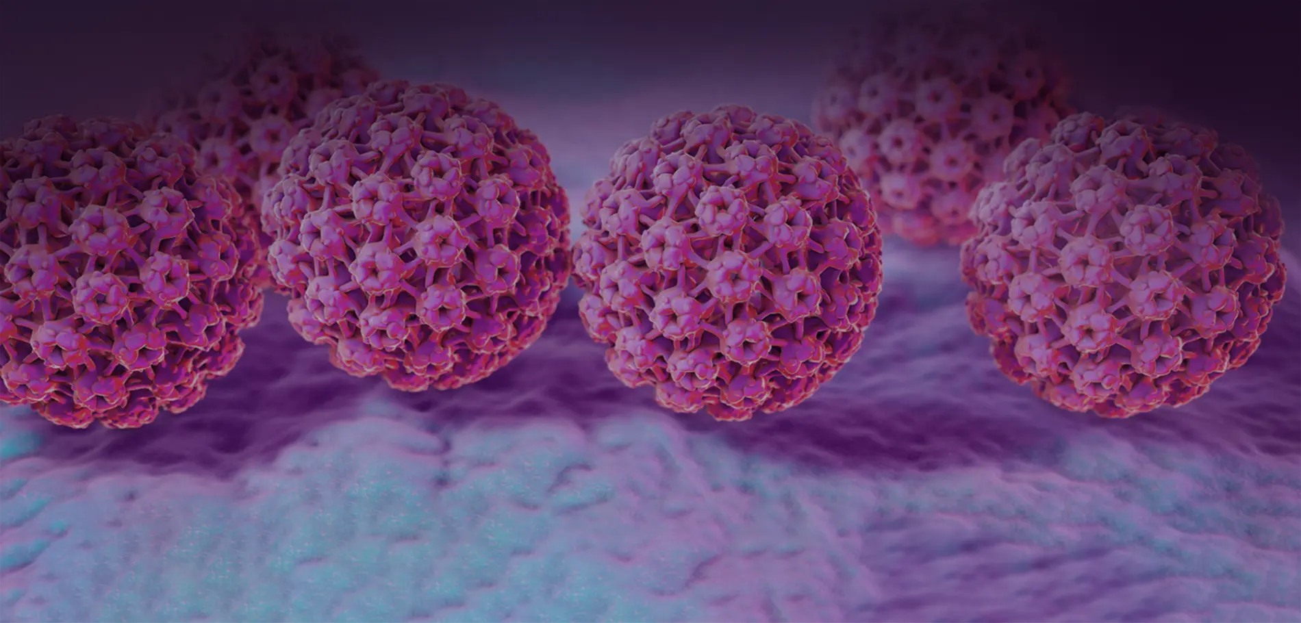 infectia-hpv-info-homepage-header (1)